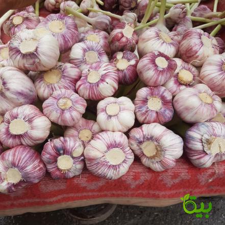 کاهش خطر بروز سرطان پروستات با سیر